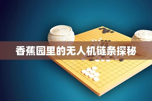 香蕉园里的无人机链条探秘