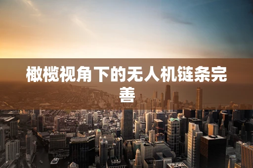 橄榄视角下的无人机链条完善