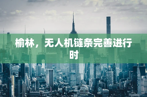 榆林，无人机链条完善进行时