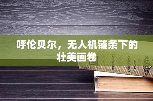 呼伦贝尔，无人机链条下的壮美画卷