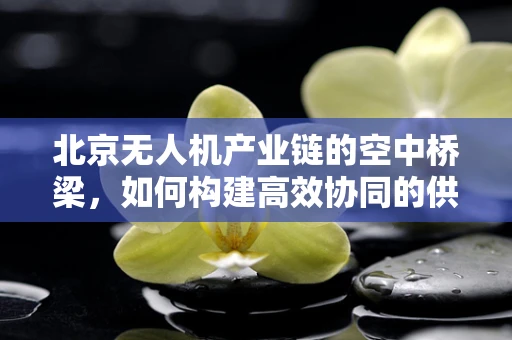 北京无人机产业链的空中桥梁，如何构建高效协同的供应链？