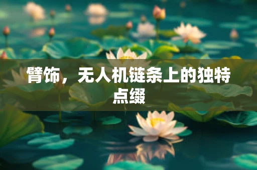 臂饰，无人机链条上的独特点缀