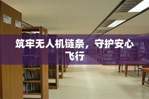 筑牢无人机链条，守护安心飞行
