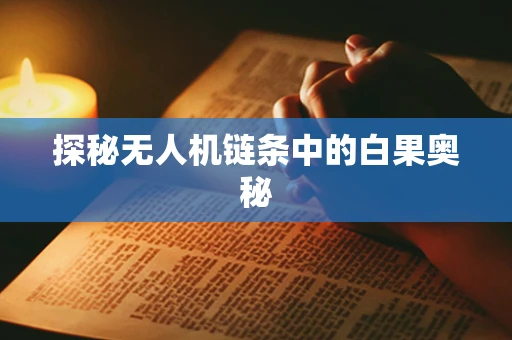 探秘无人机链条中的白果奥秘