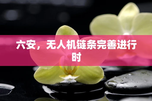 六安，无人机链条完善进行时