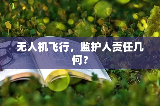 无人机飞行，监护人责任几何？