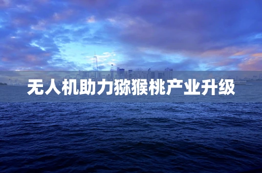 无人机助力猕猴桃产业升级