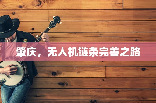 肇庆，无人机链条完善之路