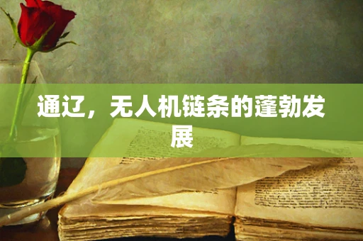 通辽，无人机链条的蓬勃发展