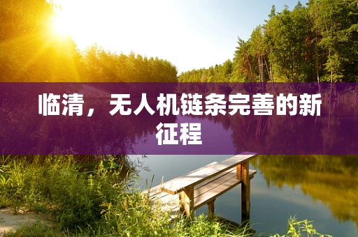 临清，无人机链条完善的新征程
