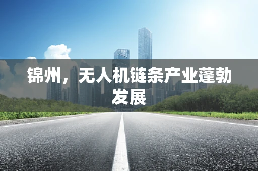 锦州，无人机链条产业蓬勃发展