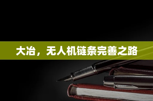 大冶，无人机链条完善之路