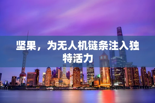 坚果，为无人机链条注入独特活力