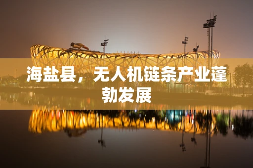 海盐县，无人机链条产业蓬勃发展