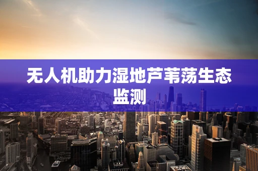 无人机助力湿地芦苇荡生态监测