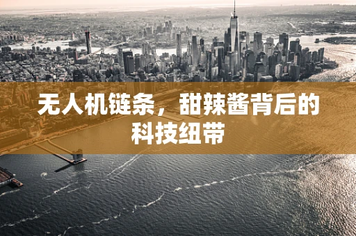 无人机链条，甜辣酱背后的科技纽带