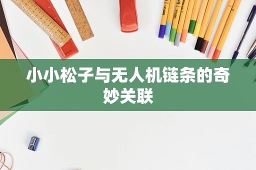 小小松子与无人机链条的奇妙关联
