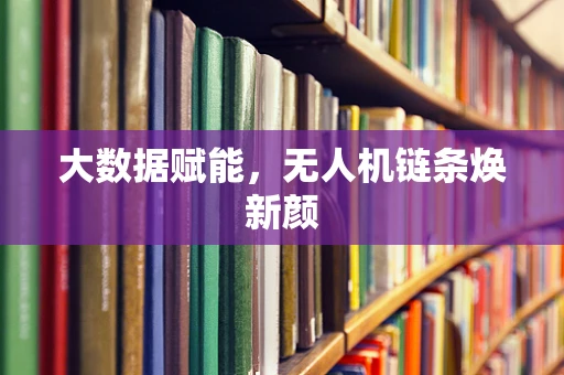 大数据赋能，无人机链条焕新颜