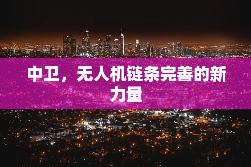 中卫，无人机链条完善的新力量