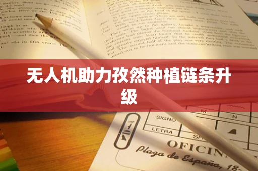无人机助力孜然种植链条升级