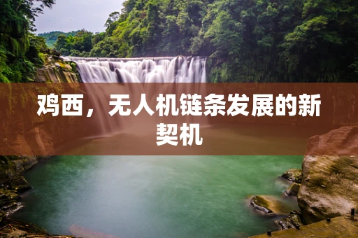 鸡西，无人机链条发展的新契机