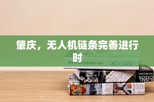 肇庆，无人机链条完善进行时
