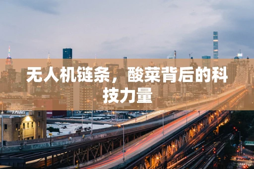 无人机链条，酸菜背后的科技力量