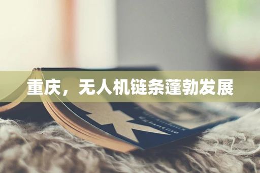 重庆，无人机链条蓬勃发展
