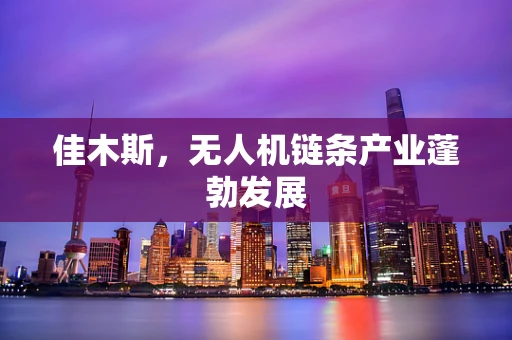 佳木斯，无人机链条产业蓬勃发展