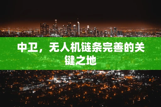 中卫，无人机链条完善的关键之地