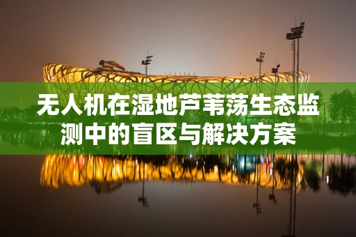 无人机在湿地芦苇荡生态监测中的盲区与解决方案