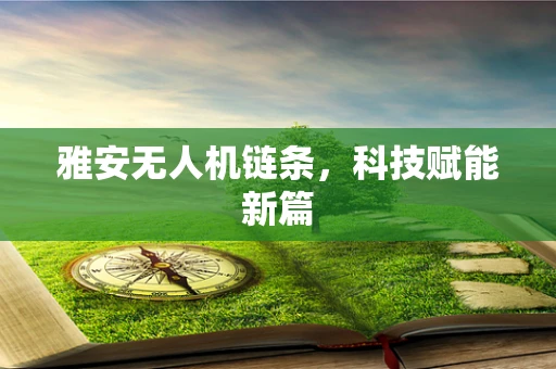 雅安无人机链条，科技赋能新篇