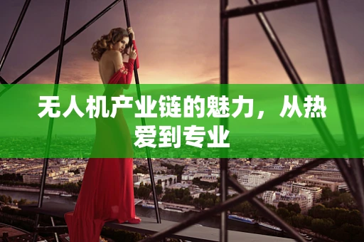 无人机产业链的魅力，从热爱到专业