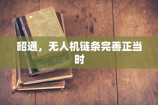 昭通，无人机链条完善正当时