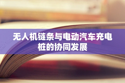 无人机链条与电动汽车充电桩的协同发展