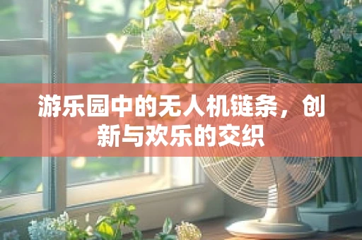 游乐园中的无人机链条，创新与欢乐的交织