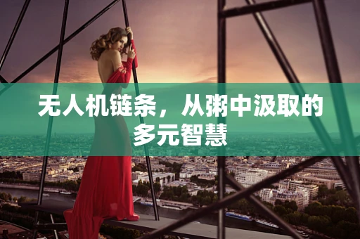 无人机链条，从粥中汲取的多元智慧