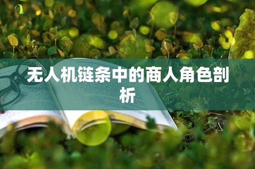 无人机链条中的商人角色剖析