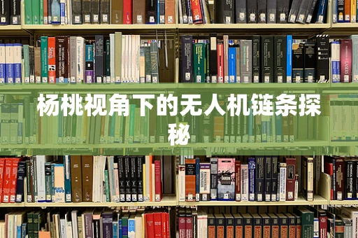 杨桃视角下的无人机链条探秘