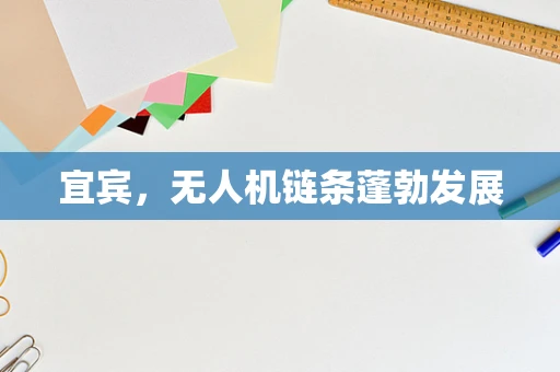 宜宾，无人机链条蓬勃发展