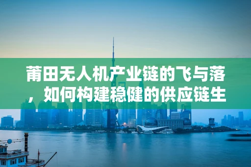 莆田无人机产业链的飞与落，如何构建稳健的供应链生态？