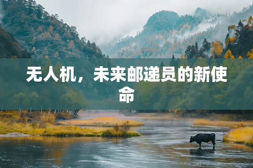 无人机，未来邮递员的新使命