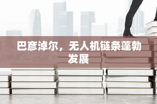 巴彦淖尔，无人机链条蓬勃发展