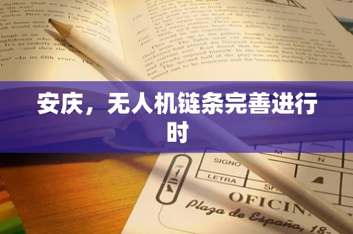 安庆，无人机链条完善进行时
