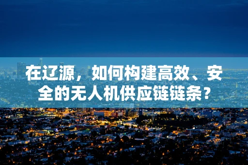 在辽源，如何构建高效、安全的无人机供应链链条？