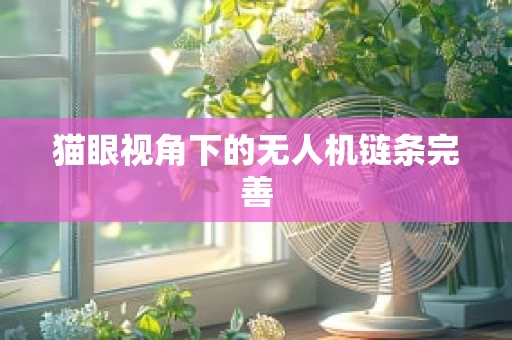 猫眼视角下的无人机链条完善