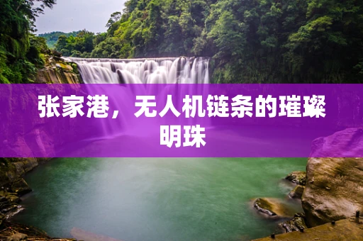 张家港，无人机链条的璀璨明珠