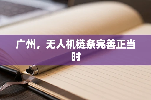 广州，无人机链条完善正当时