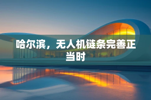 哈尔滨，无人机链条完善正当时