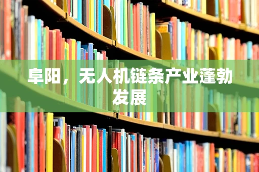阜阳，无人机链条产业蓬勃发展